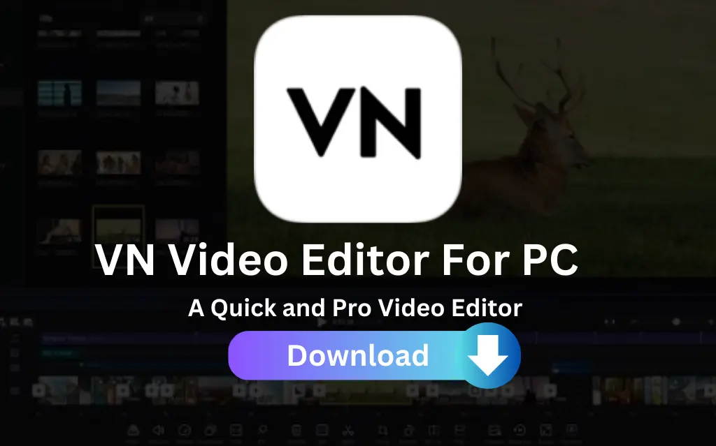 download vn video on pc